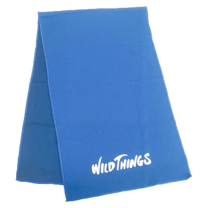 Customized Logo Print Quick Drying Ice Cold Cool Feeling Sweat Instant Microfiber Outdoor Travel Gym Sport Endure Cooling Towel